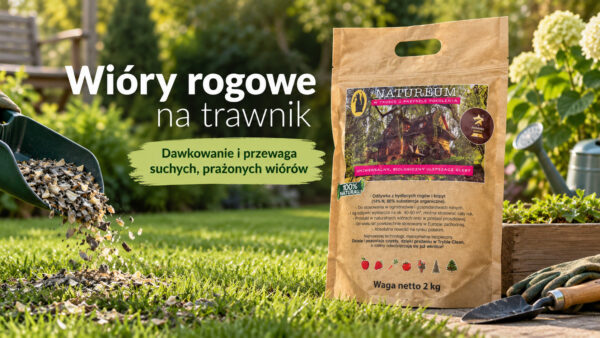 wióry rogowe